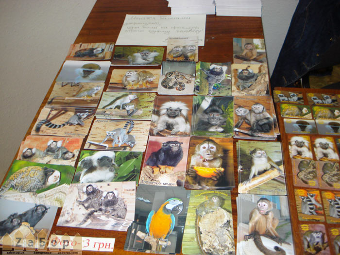 ���� ������� �� 3 ������ (���������, ��������)