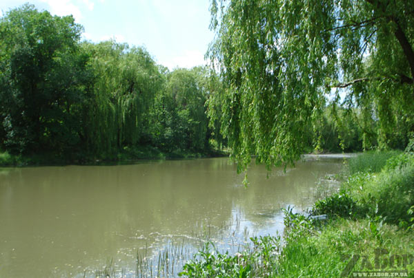 ���� ������ �������� (���������)