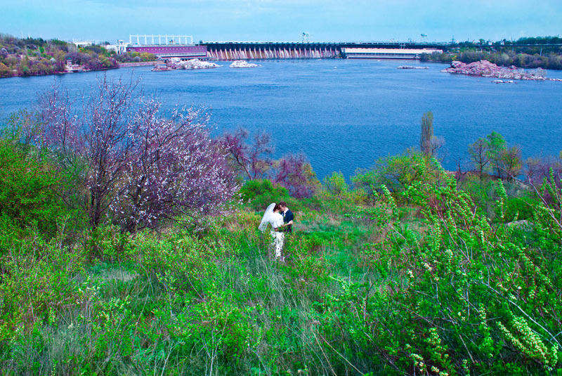 ������ ������� (��������) ���������