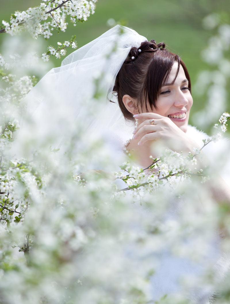 ������ ������� (��������) ���������