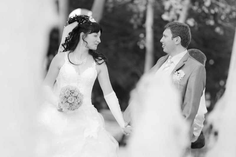 ������ ������� (��������) ���������