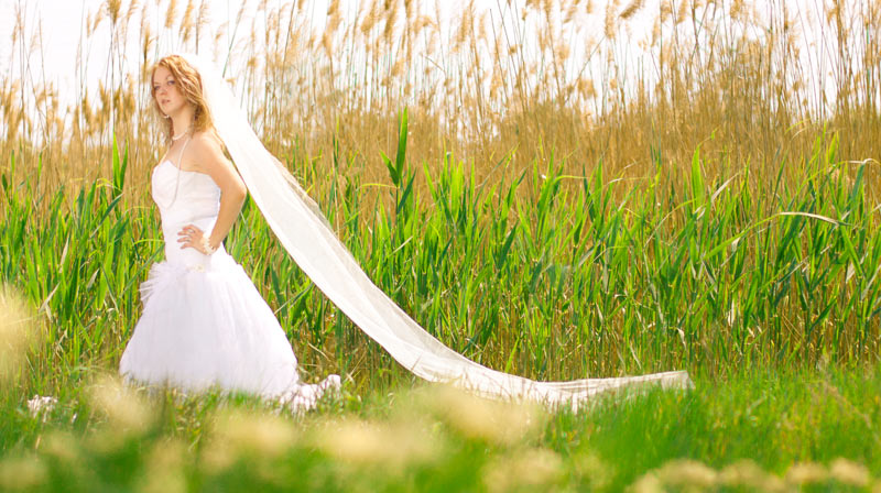 ������ ������� (��������) ���������