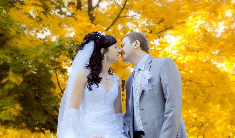 ������ ������� (��������) ���������