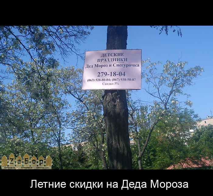 ������ ������ �� ���� ������