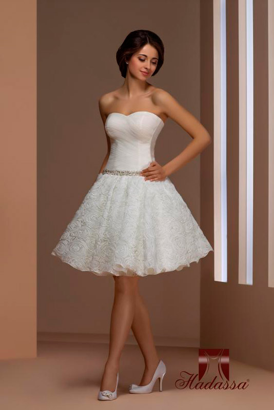 ��������� ����� "Hadassa" - "�������" � ���������