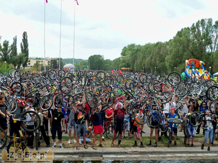 ��������2012 � ���������