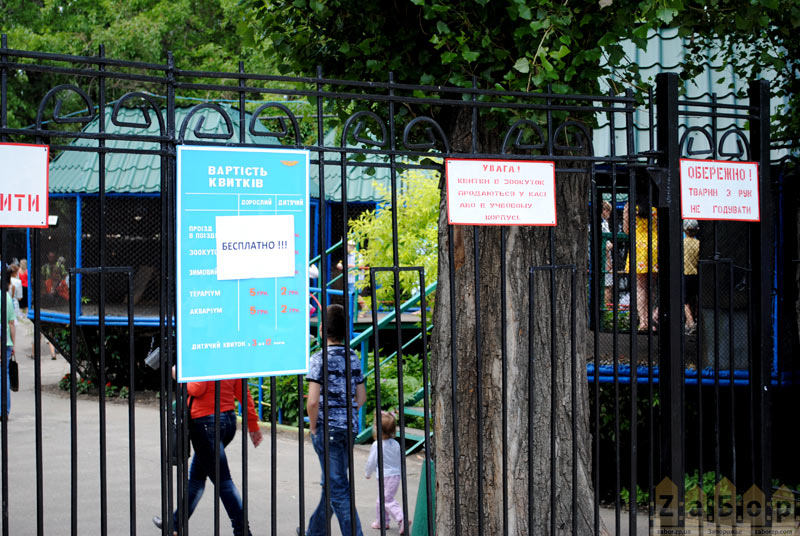 ���� � �������� �� ���