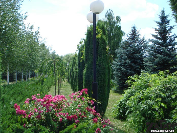 ������� �������� ������ (���������)