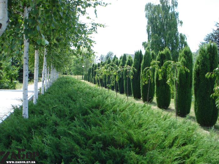 ����� �� ������� �������� ������ (���������)