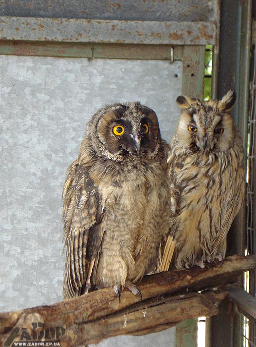 ���� � ����� (������� ���, ���������)