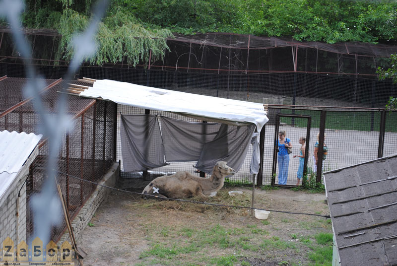 ������� ������� �� ��� � ���������