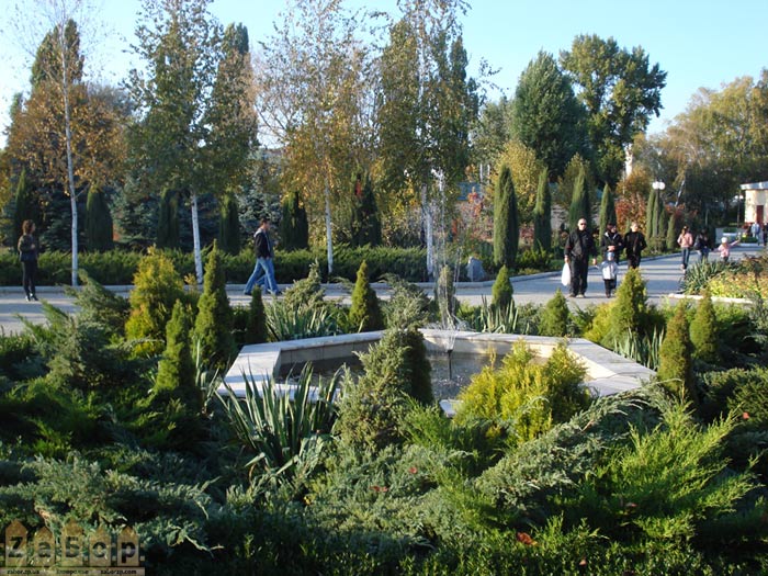 ��� � ���������