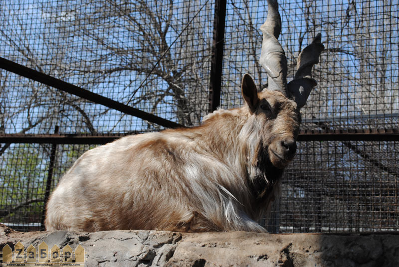 �����. ����������. ������� �� ��� � ���������