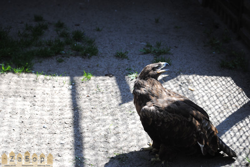 ���� � �������� �� ��� � ���������