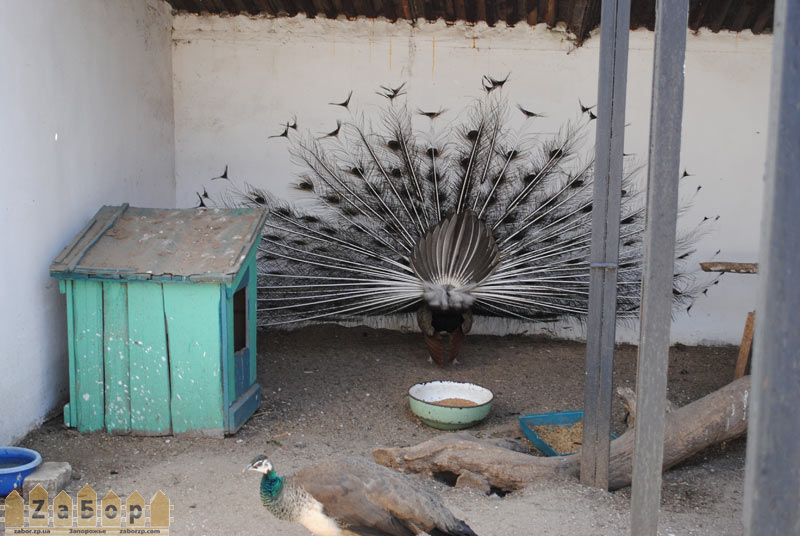 ������ � �������� �� ��� � ���������