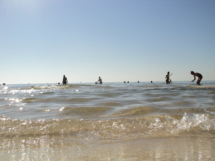 ���� ������ "������� ������" - ���� ������ � ���. ���������� (�������� ����)