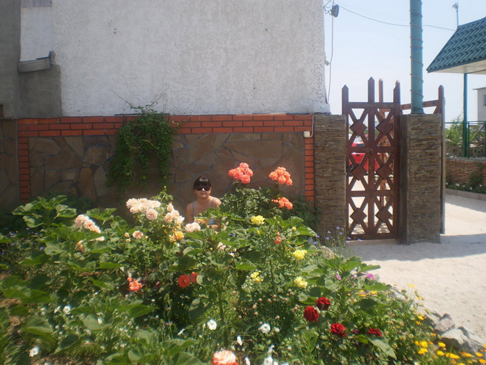 ������� ������ - ���� ������ � ���. ���������� (�������� ����)