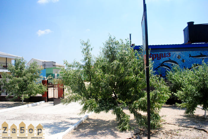 ����� - ���� ������ � ���. ���������� (�������� ����)