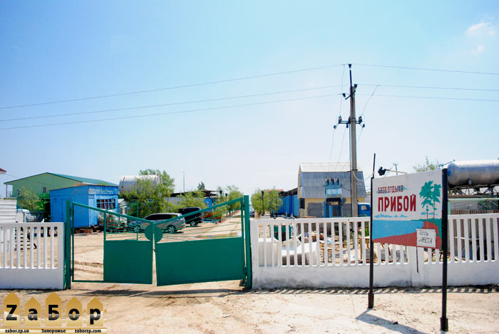 ������ - ���� ������ � ���. ���������� (�������� ����)