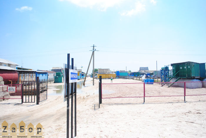 ������� ���� - ���� ������ � ���. ���������� (�������� ����)