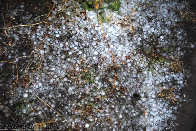 ���� � ���������