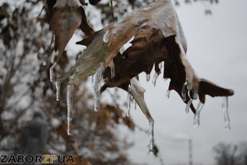 ��������� � ���������. ����� ����� ���������� �������