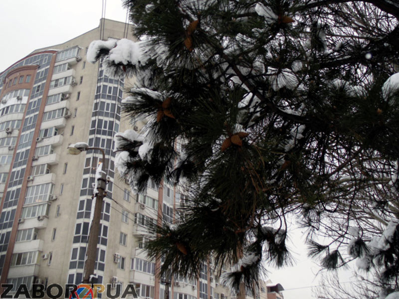 ���� �� �������� (���������)