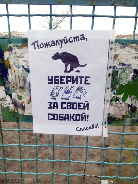 ������������ ������� (�������� �107, ���������)