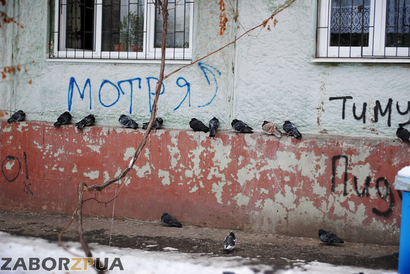 ������ ������� (���������)