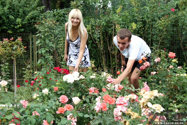 � ����������� ������� ������������ ���� � ������� 135 ����� ���. ��� ������