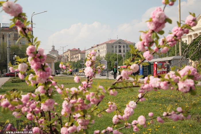 ������ ������� �� ��������� ������ (���������)