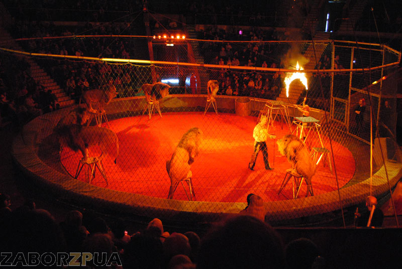 �������� ��������� "��������� ����"