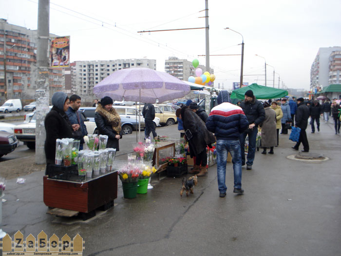 ������ ����������� �� 8 ����� (���������)