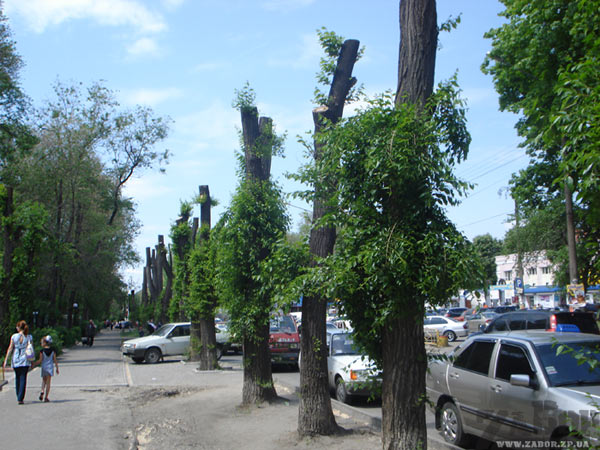 ���������� ������� �� ��.40 ��� ��������� ������� (���������)