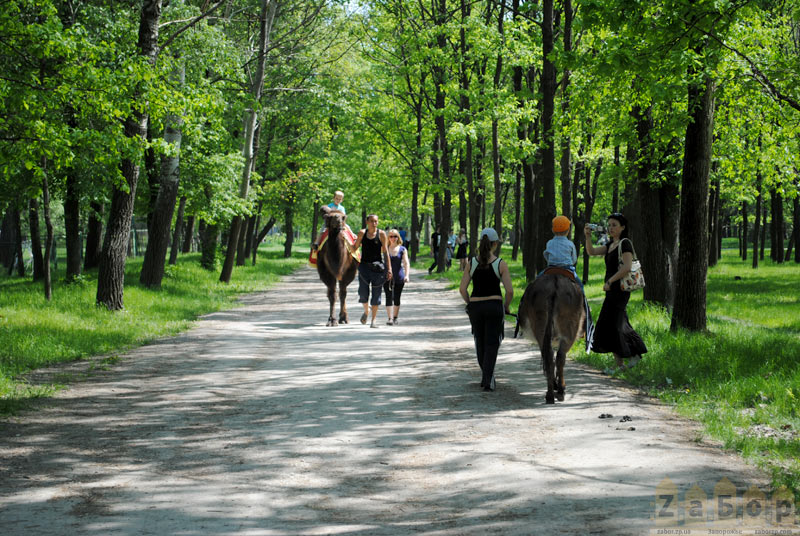 ������ ����� � ������� ���� (���������)