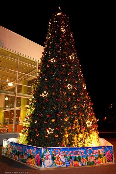 ���� ����� �������