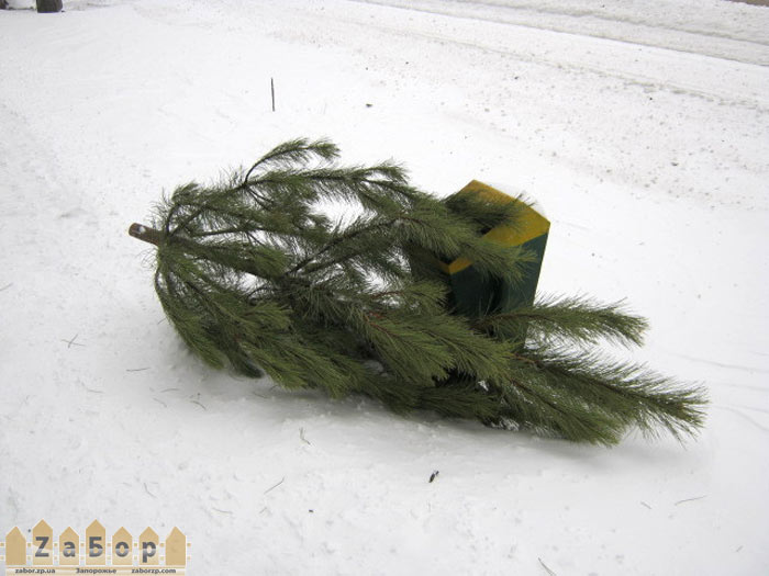 ���� �� ������ � ������� (���������)