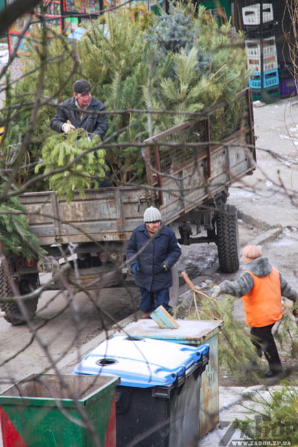 ������� ���� (���������)