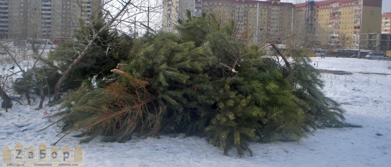 � ��������� �� ��������� ����