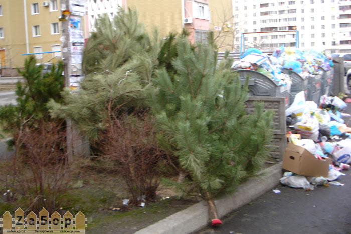 ���� �� ������� (���������, �����)