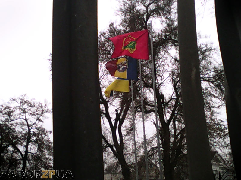 ������������ ���� ���������