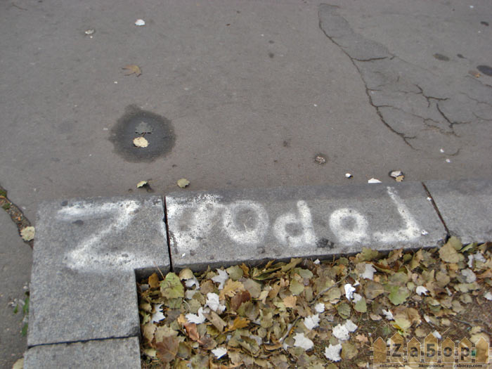 ����� Z. ����� ���� ���������� :)