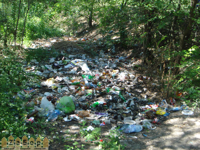 ����� �� ������� ������ � ���������