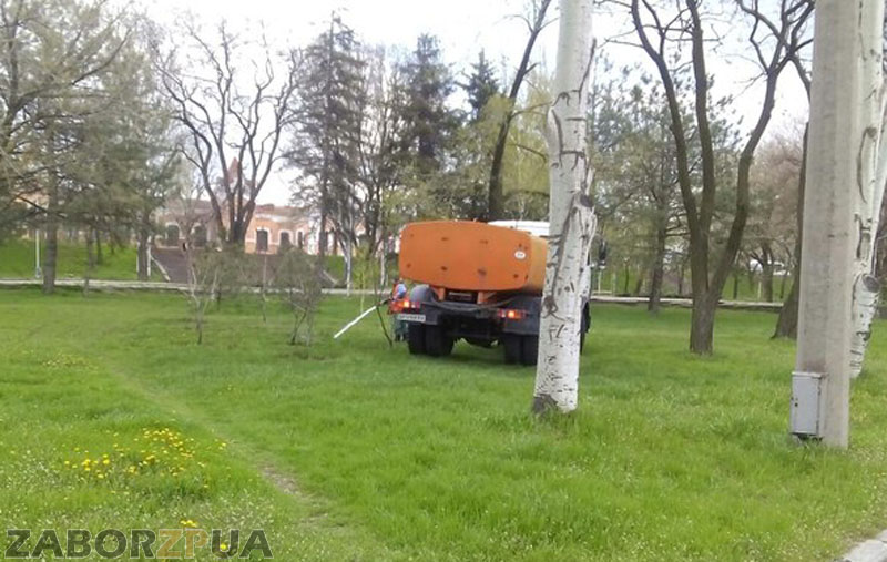 ����������� ������ ����� ����� � ���������