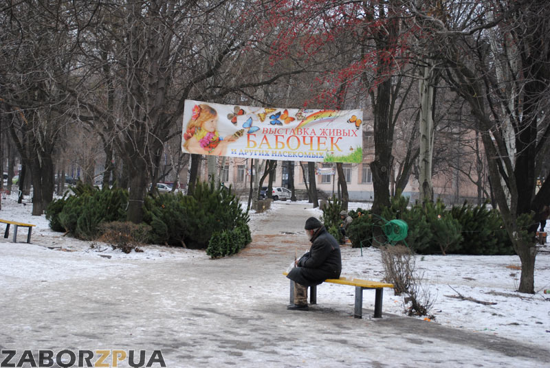 ����� ������� (���������)