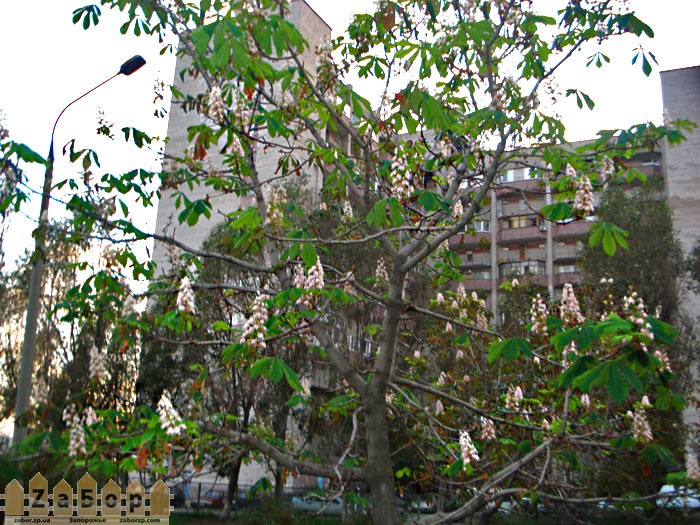 � ����� �������� � ��������� ������� �������