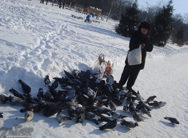 ��������� ������� � ����� (������������� ����� ���������)