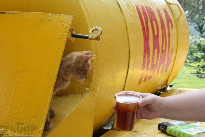 ���� ������� �� ���� ������