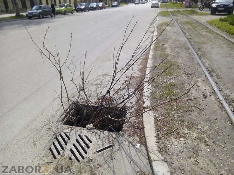 ��������� ��� � ���������