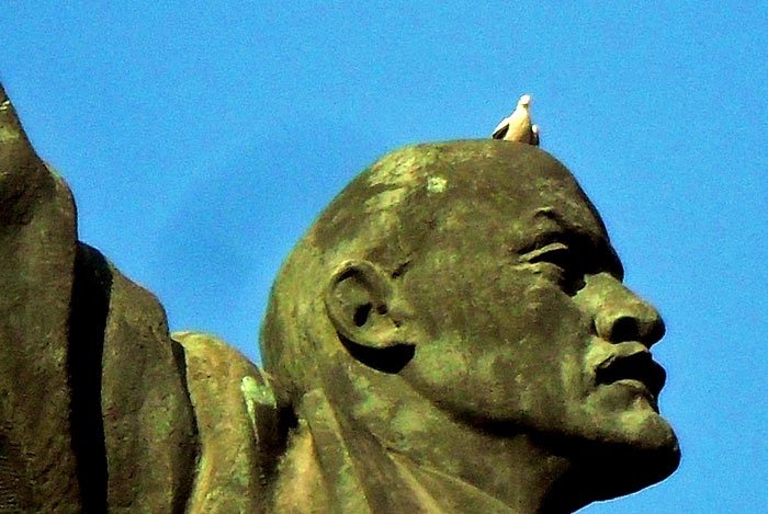 ������ �� ������